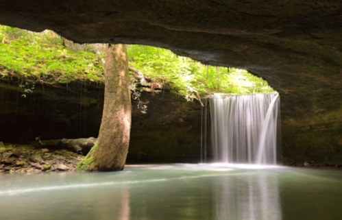 A serene waterfall cascades into a tranquil pool, surrounded by lush greenery and rocky formations.