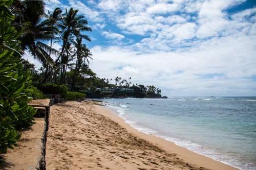 A sandy beach lined with palm trees under a partly cloudy sky, with gentle waves lapping at the shore.
