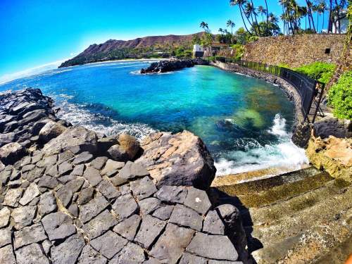 A vibrant coastal scene with clear blue water, rocky shoreline, and palm trees under a bright blue sky.