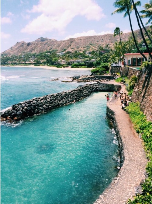 A scenic coastal view with a winding path, clear turquoise water, palm trees, and people enjoying the beach.