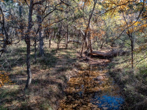 A serene forest scene with a small stream, surrounded by trees and autumn foliage.