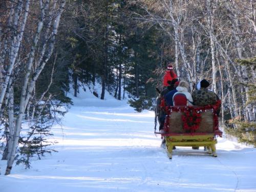 A horse-drawn sleigh carries passengers through a snowy forest path, decorated with festive greenery.