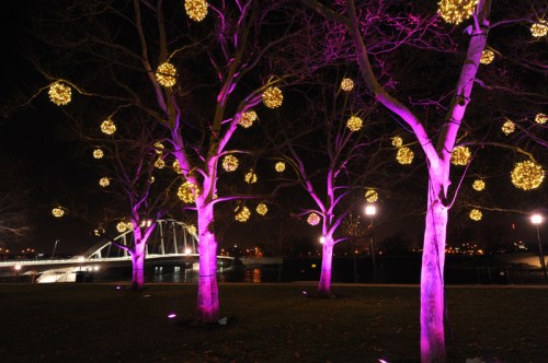 Trees adorned with golden spherical lights, illuminated in pink, beside a river at night with a bridge in the background.