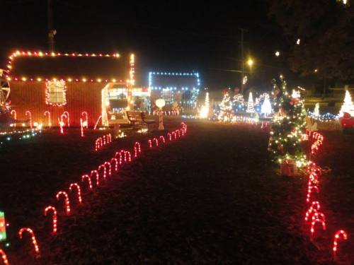 A festive display of colorful Christmas lights, candy canes, and decorated trees in a nighttime setting.