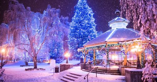 A snowy park scene at night featuring a lit gazebo and a large blue Christmas tree surrounded by glowing lights.