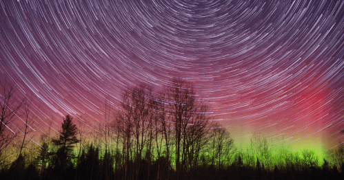 A starry night sky with swirling star trails and vibrant auroras above silhouetted trees.