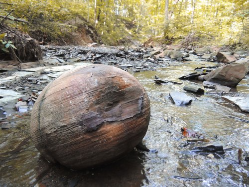 A large, round wooden object sits in a shallow stream surrounded by autumn foliage and rocky terrain.