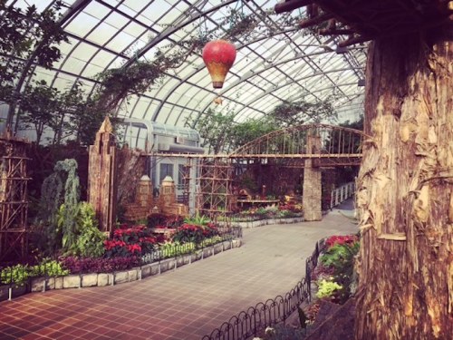 A vibrant indoor garden with plants, a hot air balloon, and a wooden bridge under a glass roof.