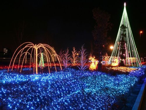 Colorful holiday lights illuminate a park at night, featuring a glowing tree and vibrant blue and red decorations.