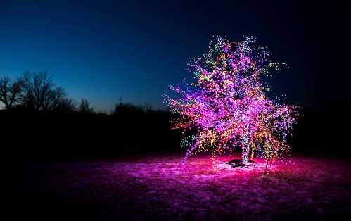 A brightly lit tree adorned with colorful lights against a darkening sky at dusk.