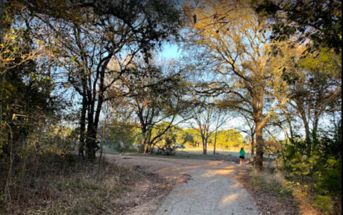 A person walks along a dirt path surrounded by trees and open fields under a clear sky.