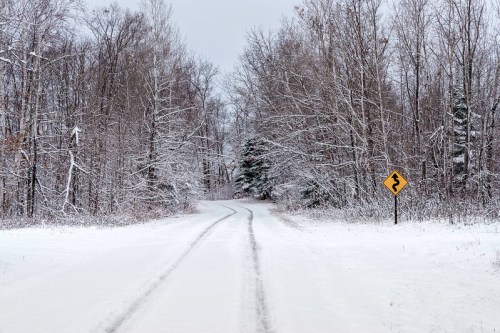A snowy road winds through a forest, with bare trees and a warning sign for a curve ahead.