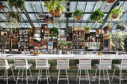 A stylish bar with a white countertop, surrounded by hanging plants and shelves filled with bottles. Bright and inviting atmosphere.