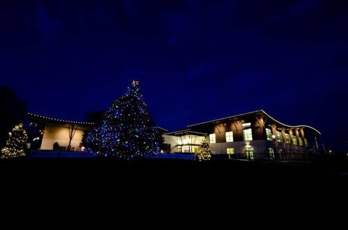 A brightly lit Christmas tree stands in front of a modern building, illuminated against a dark evening sky.