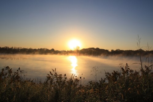 A serene sunrise over a misty lake, with silhouettes of trees and tall grasses in the foreground.