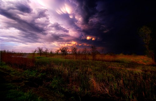 Dramatic sky with dark clouds and vibrant colors over a landscape of trees and tall grass at dusk.