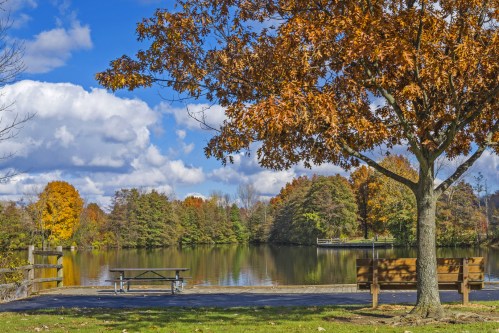 A serene lake surrounded by autumn trees, with a picnic table and bench by the water under a blue sky with clouds.