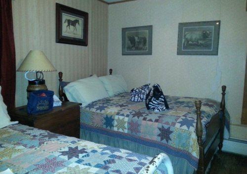 Cozy bedroom with two beds, quilted bedspreads, framed horse artwork, and a lamp on a nightstand.