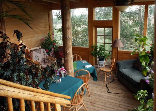 Cozy wooden sunroom with plants, tables, and seating, surrounded by large windows and natural light.