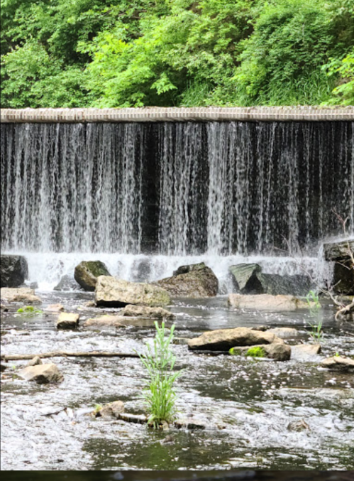 A serene waterfall cascades over a stone wall into a rocky stream, surrounded by lush green foliage.