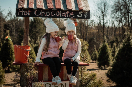 Two girls in winter hats sit on a stand, sipping hot chocolate, surrounded by evergreen trees.