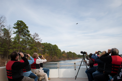 A group of people in life jackets on a boat, watching and photographing a bird flying over a scenic river.