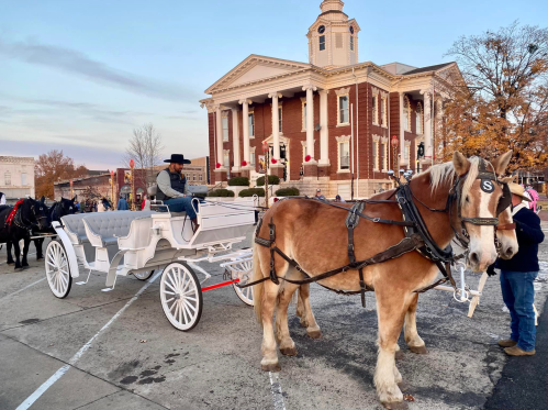 A horse-drawn carriage with a driver in front of a historic building during sunset.