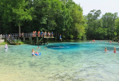 A clear blue swimming area with people enjoying the water, a diving platform, and lush green trees in the background.