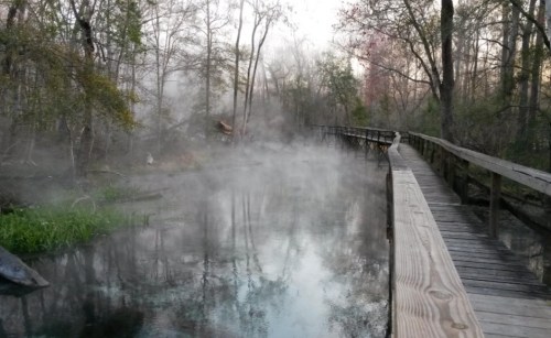 A wooden boardwalk stretches over a misty, tranquil waterway surrounded by trees in a serene, foggy landscape.