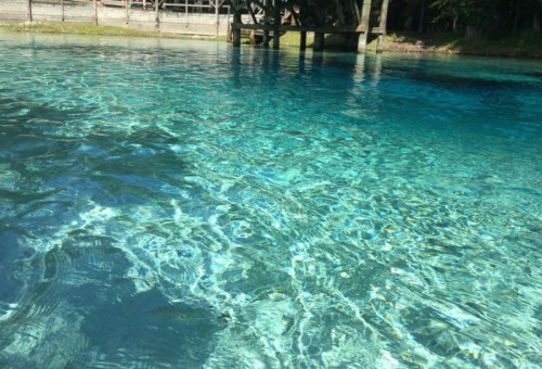 Clear turquoise water with gentle ripples, reflecting sunlight, near a wooden dock surrounded by greenery.