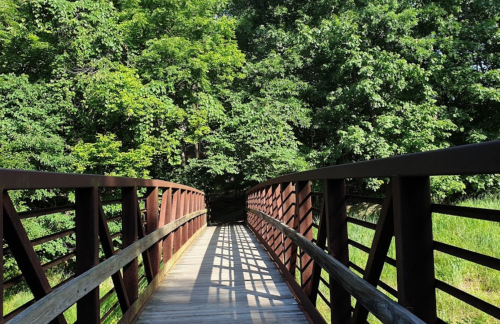 A wooden bridge leads through lush green trees, casting shadows on the path below.