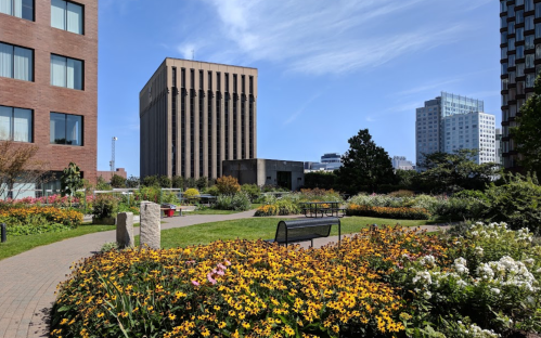 A vibrant garden filled with colorful flowers, surrounded by modern buildings and a clear blue sky.