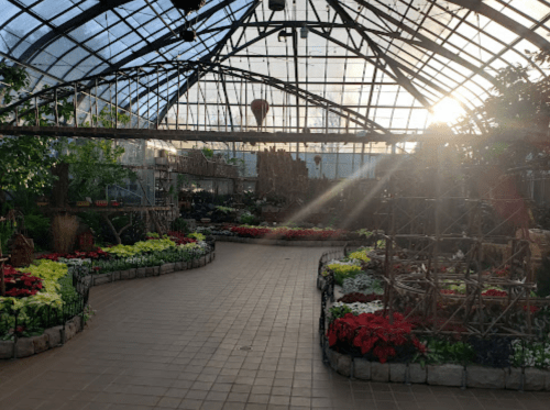 A sunlit greenhouse filled with vibrant flowers and plants, featuring a winding path and decorative structures.
