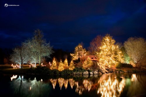 A serene night scene with illuminated trees and decorations reflecting in a calm pond under a dark blue sky.