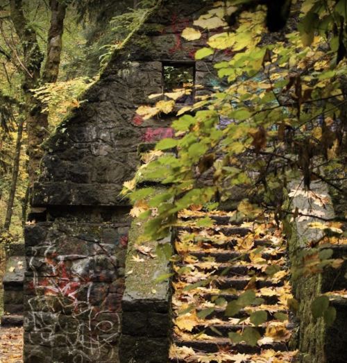 A stone structure partially covered in colorful graffiti, surrounded by autumn leaves and lush greenery.