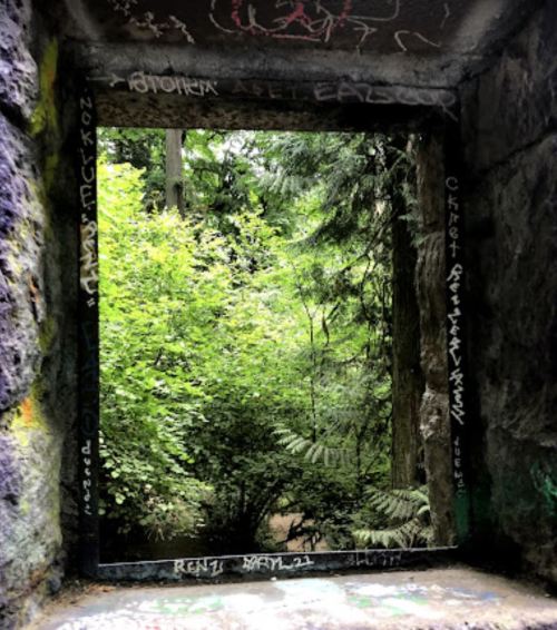 A stone frame with graffiti overlooks a lush green forest, creating a natural window to the outdoors.