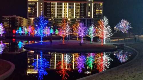 Colorful trees adorned with lights reflect in a calm pond at night, with a modern building in the background.