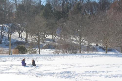 Two children playing in the snow, surrounded by trees and a winter landscape.