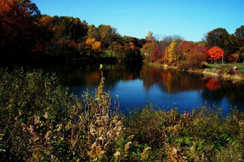 A serene lake surrounded by vibrant autumn foliage and clear blue skies. Reflections of trees shimmer on the water.