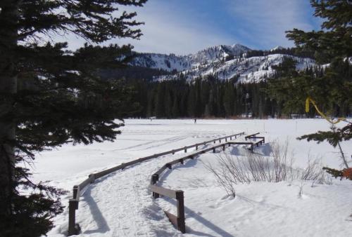 A snowy landscape with a winding wooden path leading through trees, mountains in the background under a clear blue sky.