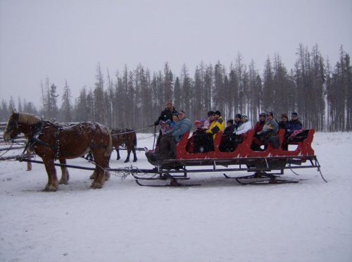 A horse-drawn sleigh carries a group of people through a snowy landscape with trees in the background.