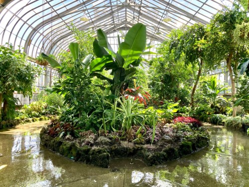 Lush indoor greenhouse with vibrant tropical plants and a central garden island surrounded by a reflective pathway.