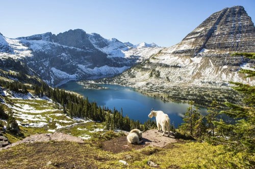 A mountain landscape with a lake, featuring two mountain goats on a rocky ledge surrounded by snow-capped peaks.