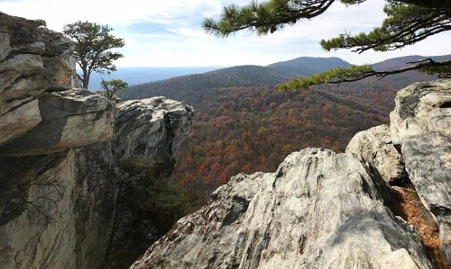 A scenic view from a rocky ledge overlooking a colorful autumn forest and distant mountains under a clear sky.