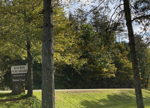 Sign for North Bend Picnic Ground surrounded by trees and greenery in a scenic outdoor setting.