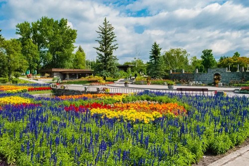 A vibrant garden filled with colorful flowers in various hues, surrounded by lush green trees and a cloudy sky.