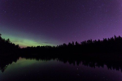 A serene lake reflects a starry night sky with vibrant purple and green auroras above a dark forest silhouette.