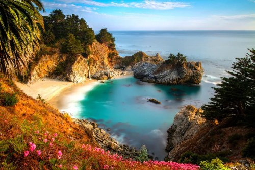 A serene coastal scene with turquoise water, rocky cliffs, and lush greenery, framed by vibrant flowers in the foreground.