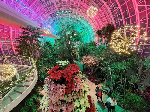 A vibrant indoor garden illuminated with colorful lights, featuring lush plants and festive decorations.