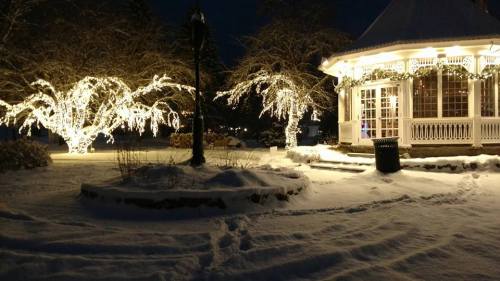 A snowy scene at night featuring a lit gazebo and a tree adorned with sparkling lights.